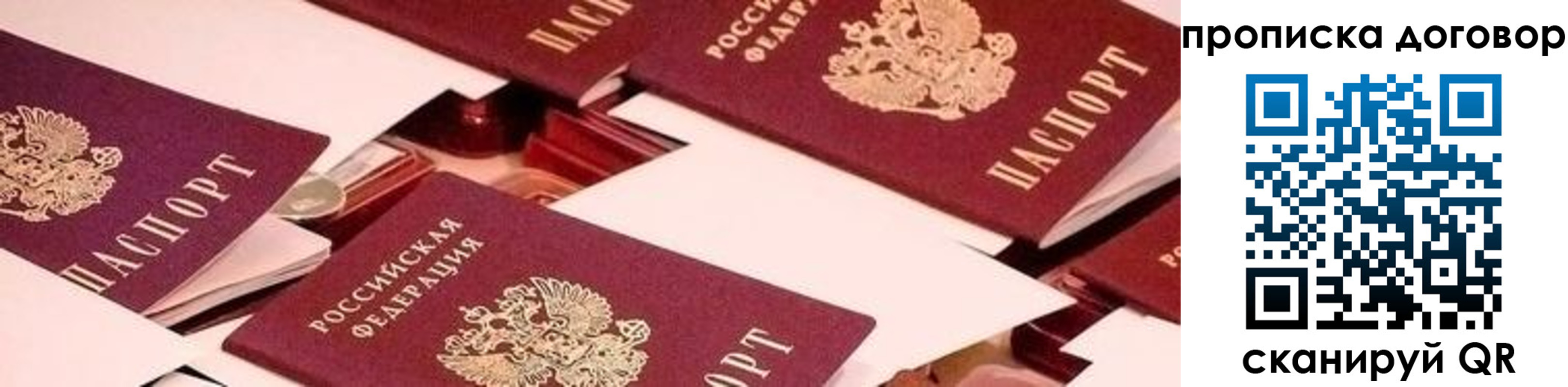 прописка 2025 в Видном